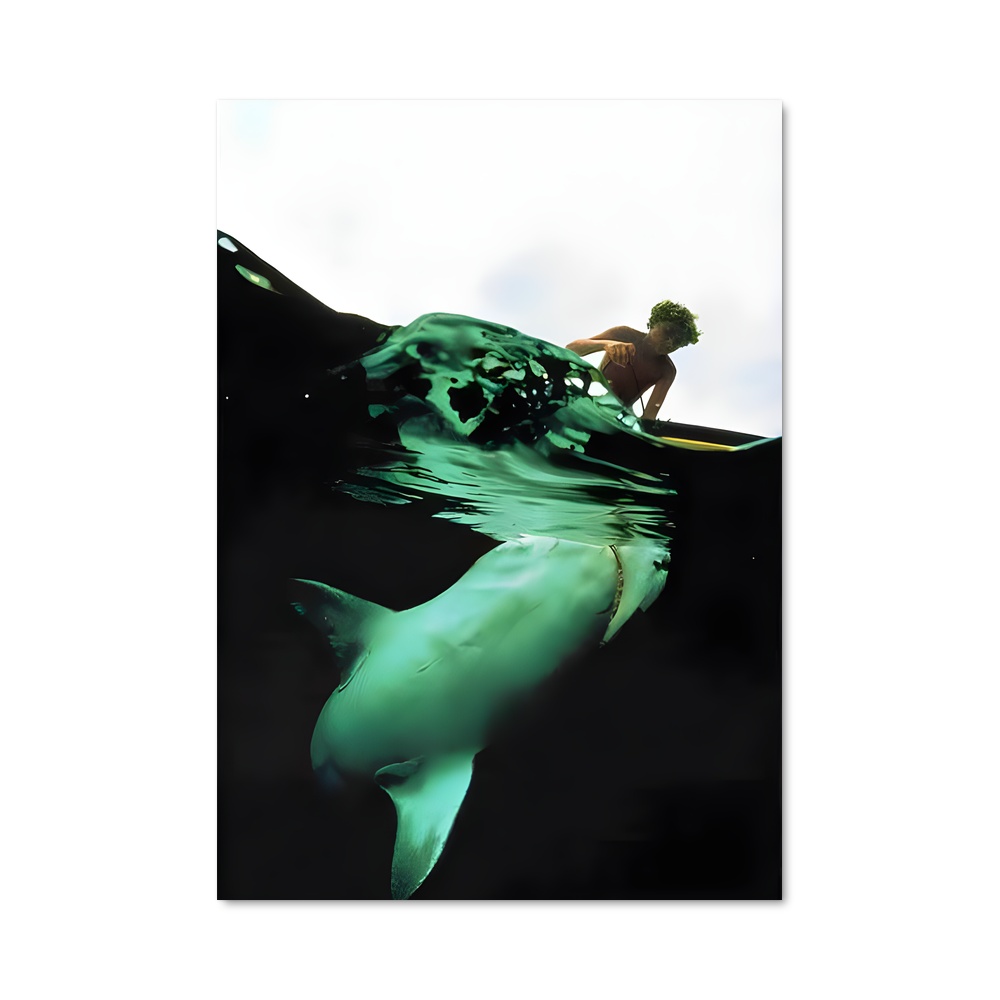 Poster Surfing with Dolphins